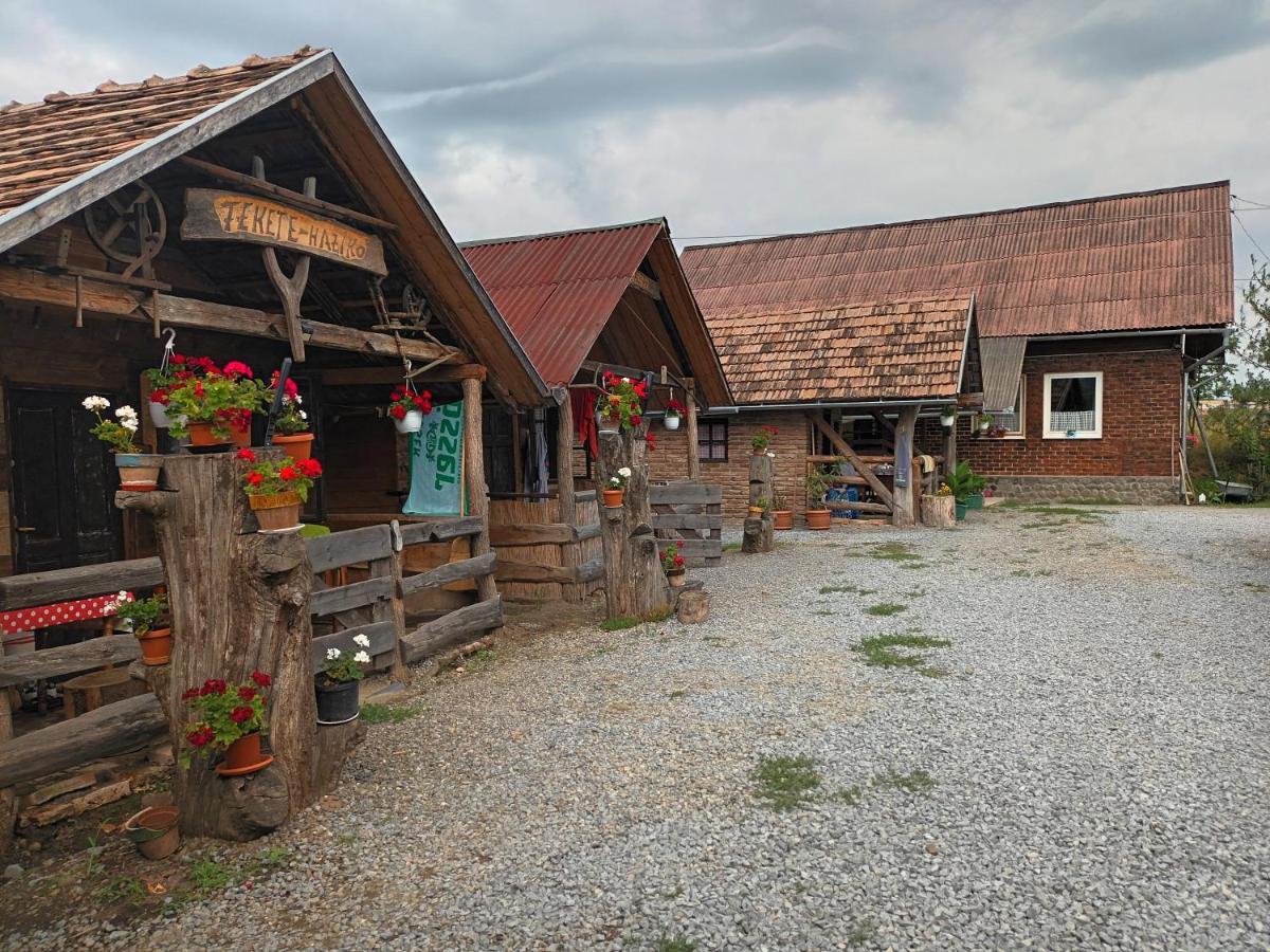 Casa Rustic Feher & Fekete Vendeghazak Sovata Exterior photo